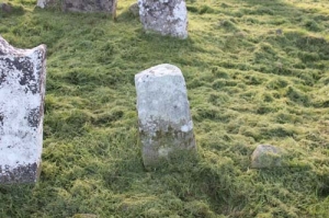 96